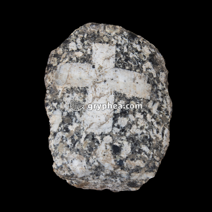Granite avec macle en croix de feldspath plagioclase - gryphea.com